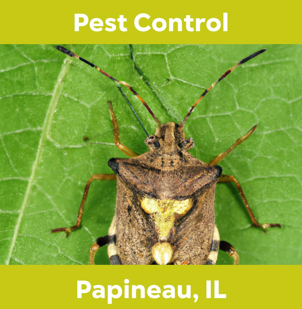pest control in Papineau Illinois