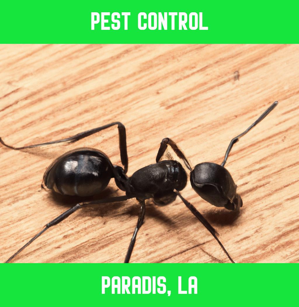 pest control in Paradis Louisiana