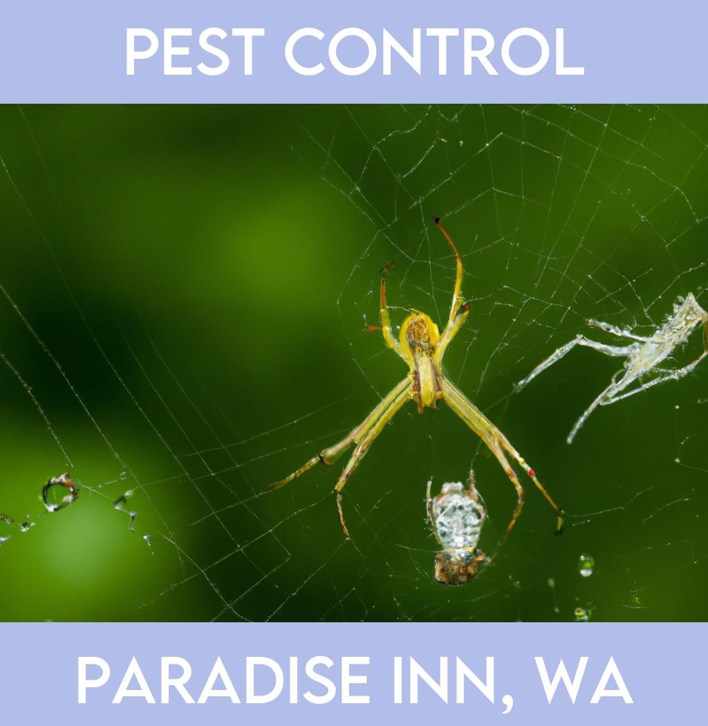 pest control in Paradise Inn Washington