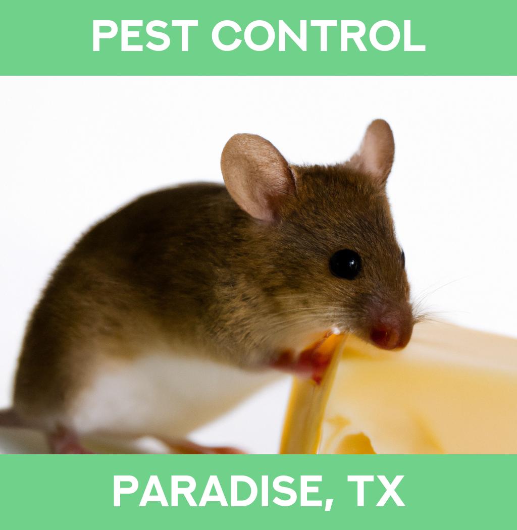 pest control in Paradise Texas