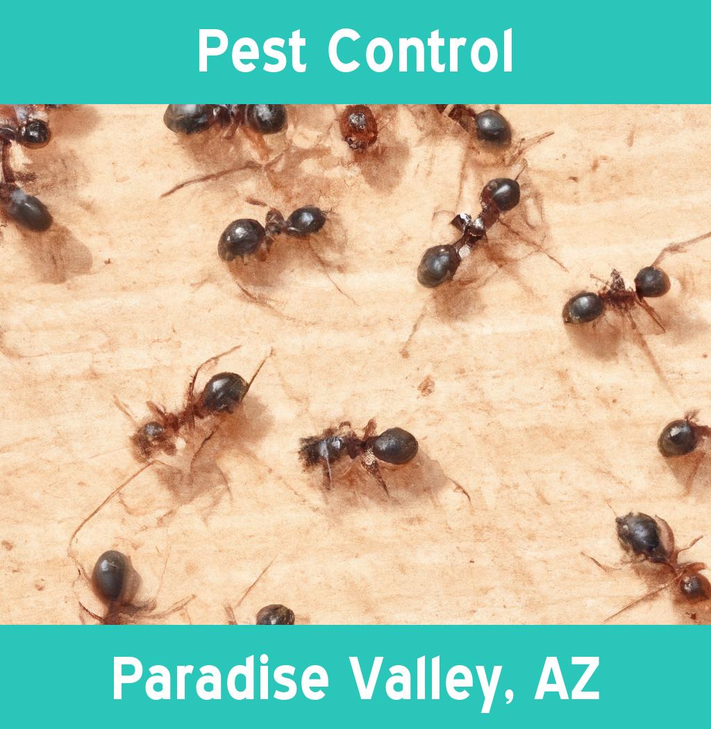 pest control in Paradise Valley Arizona