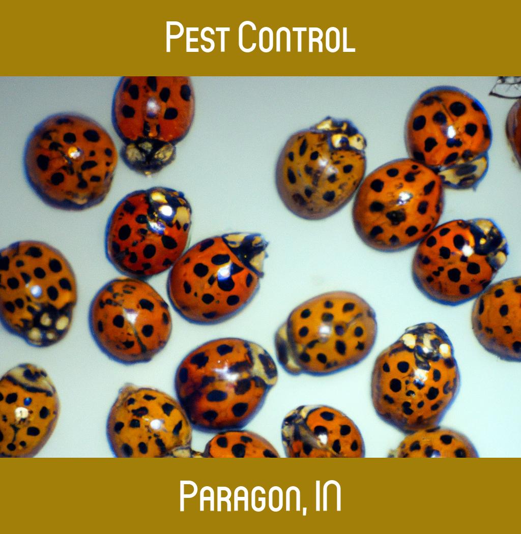 pest control in Paragon Indiana