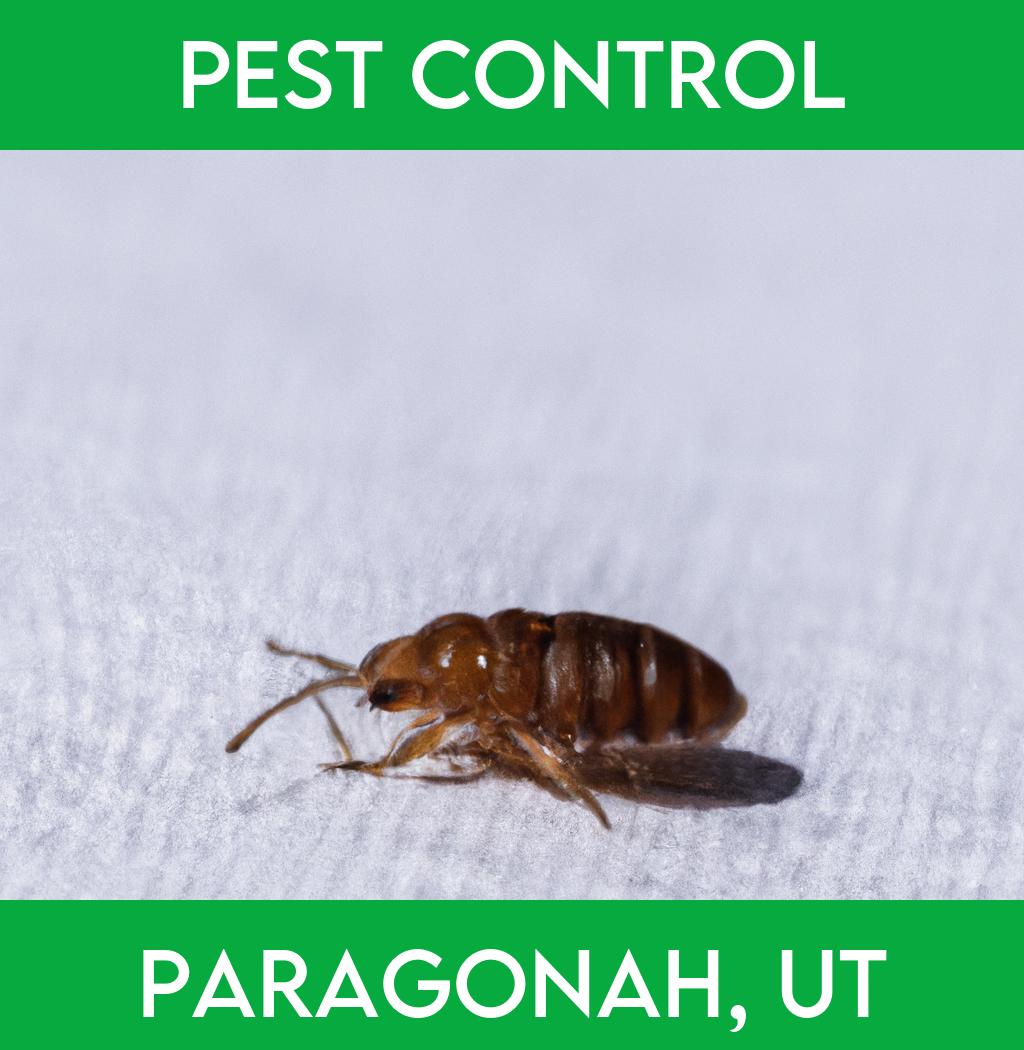 pest control in Paragonah Utah