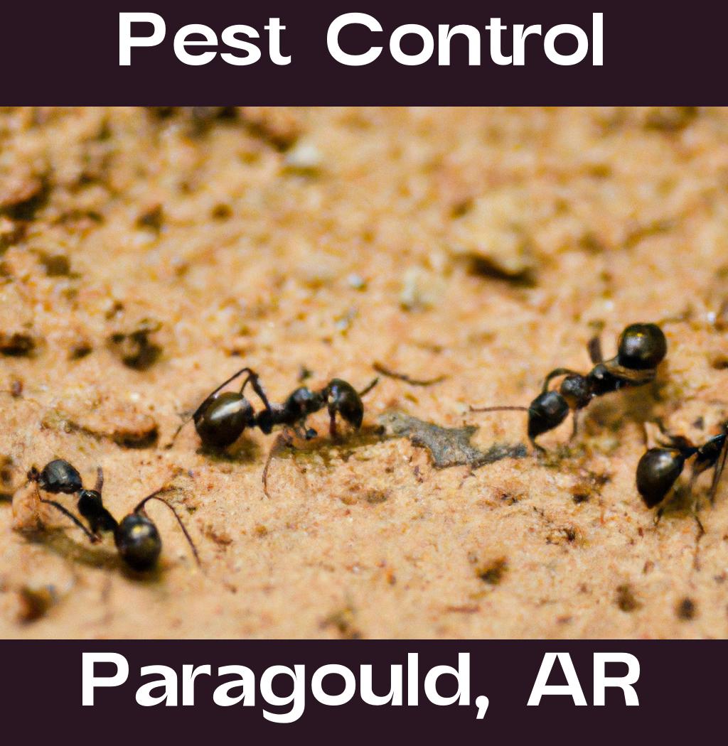 pest control in Paragould Arkansas