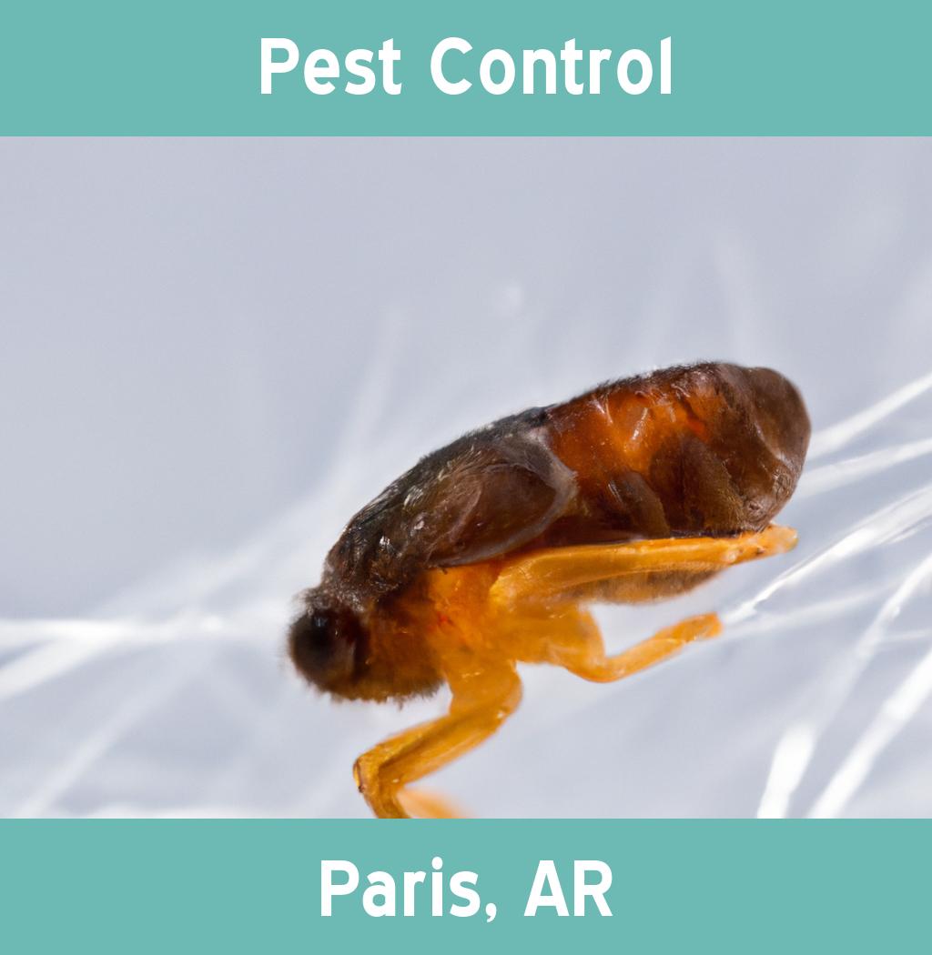 pest control in Paris Arkansas