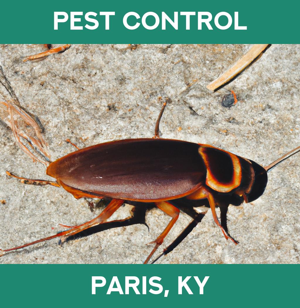 pest control in Paris Kentucky