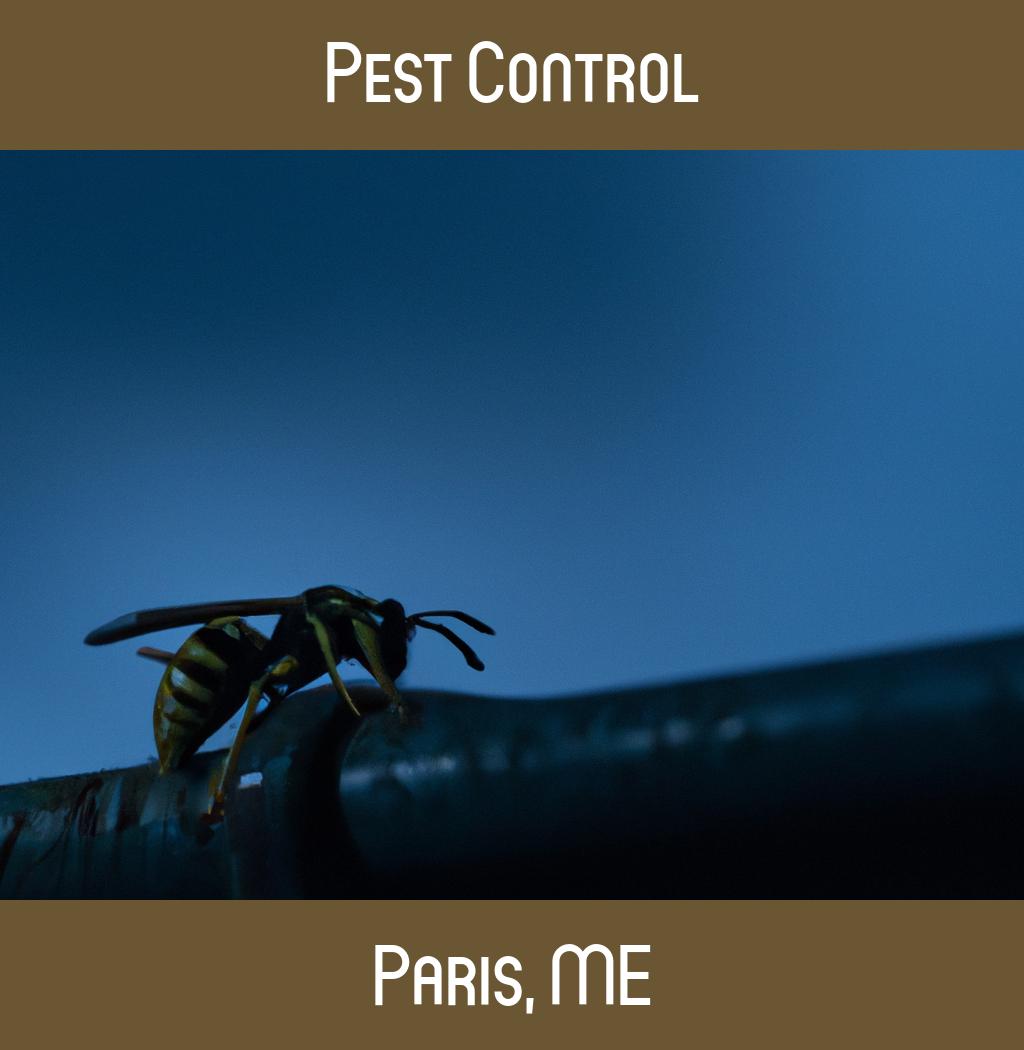 pest control in Paris Maine