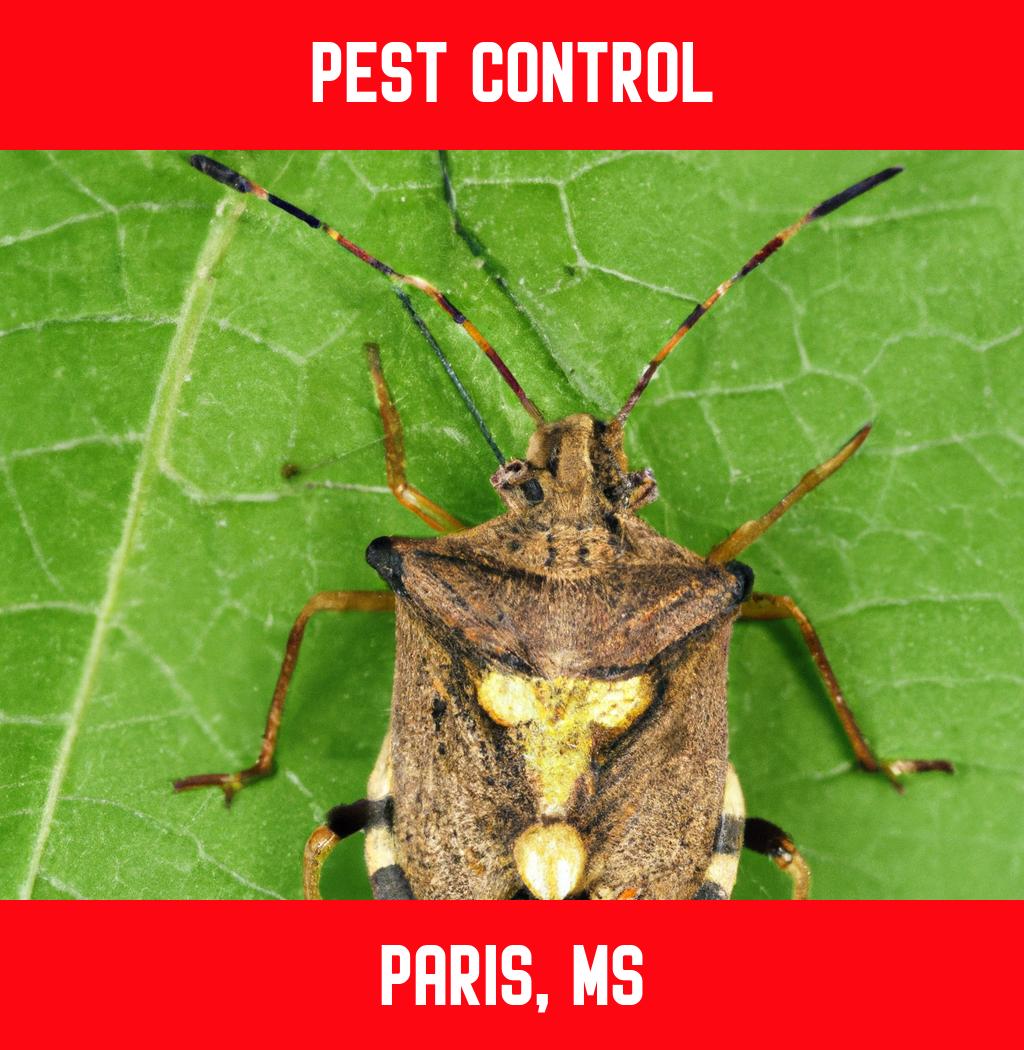 pest control in Paris Mississippi