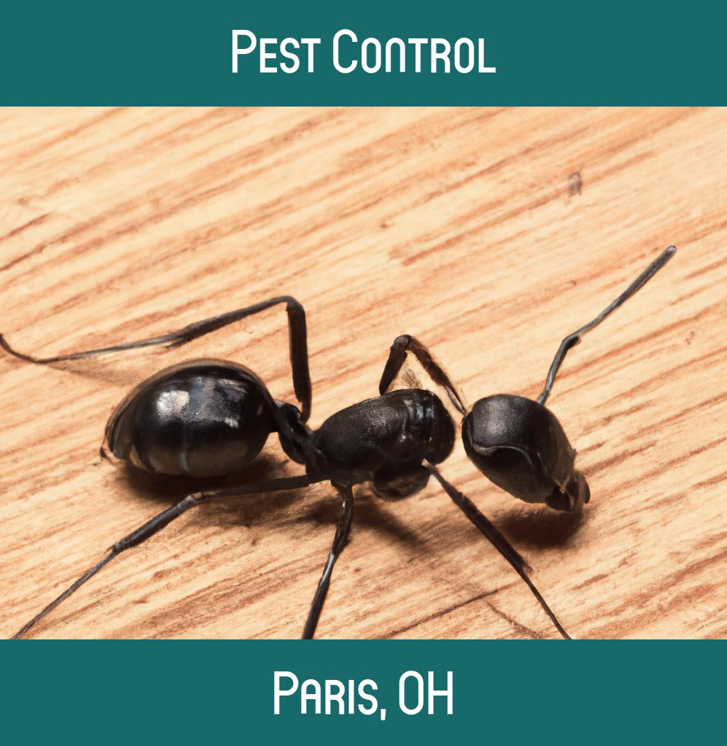 pest control in Paris Ohio