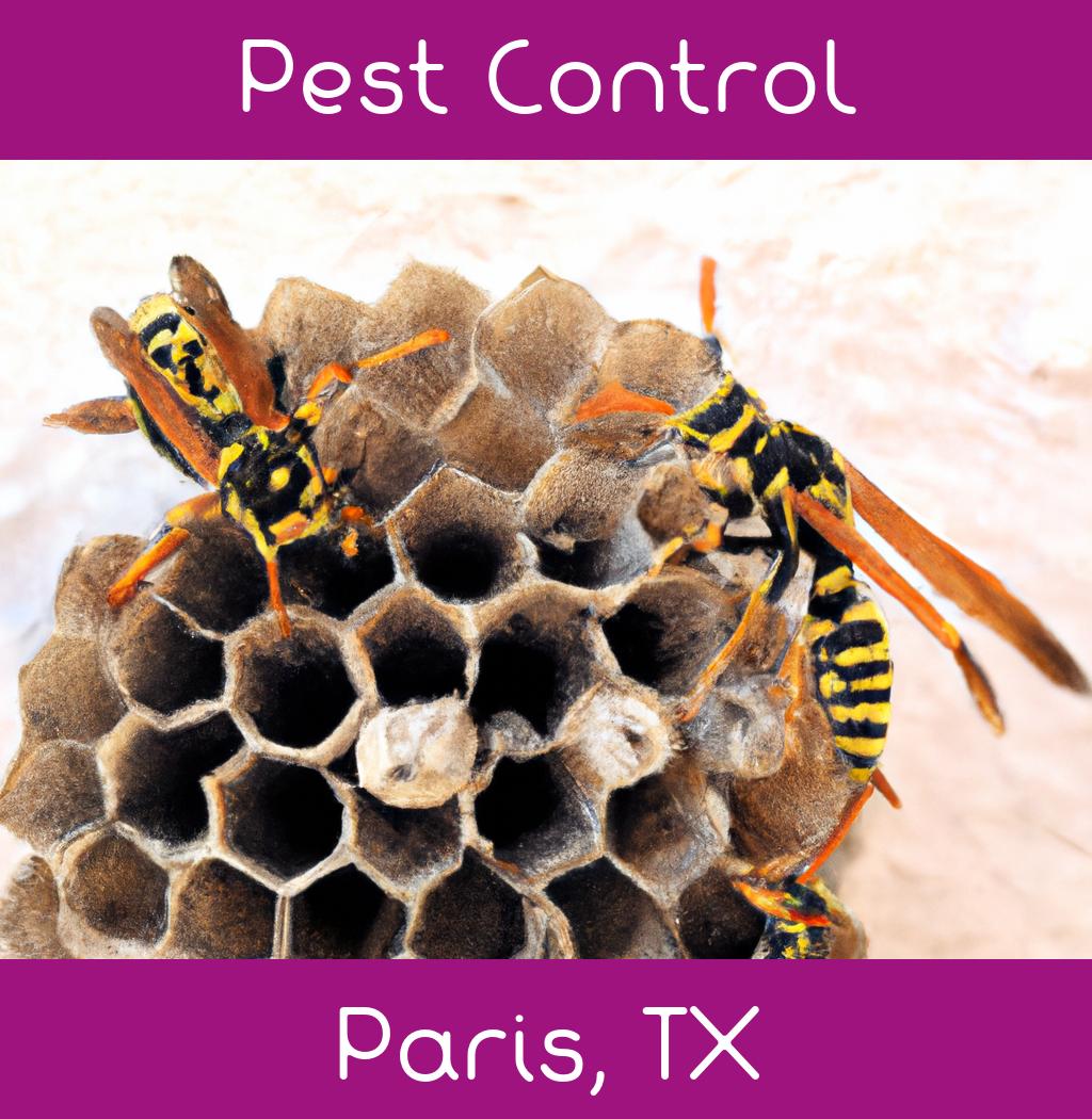 pest control in Paris Texas