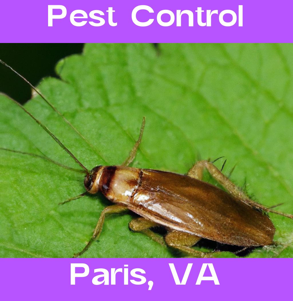 pest control in Paris Virginia