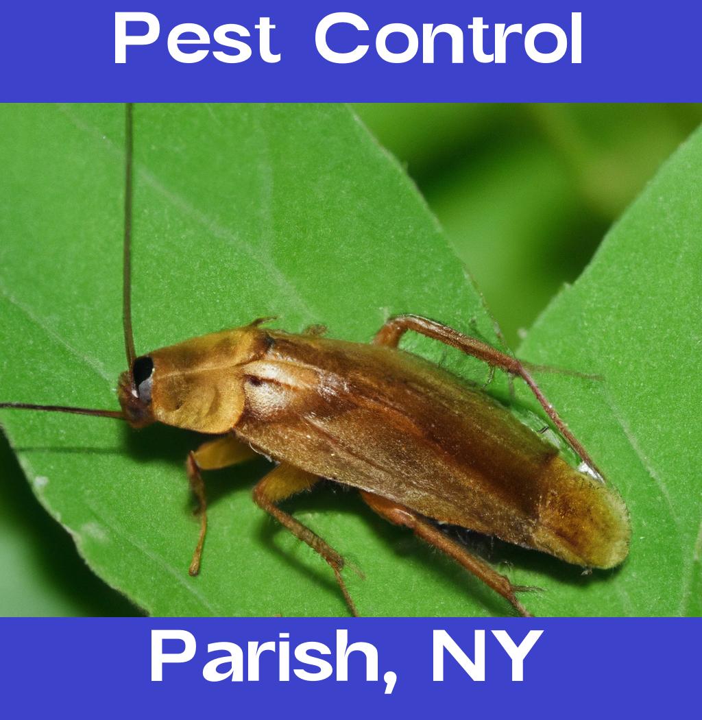 pest control in Parish New York