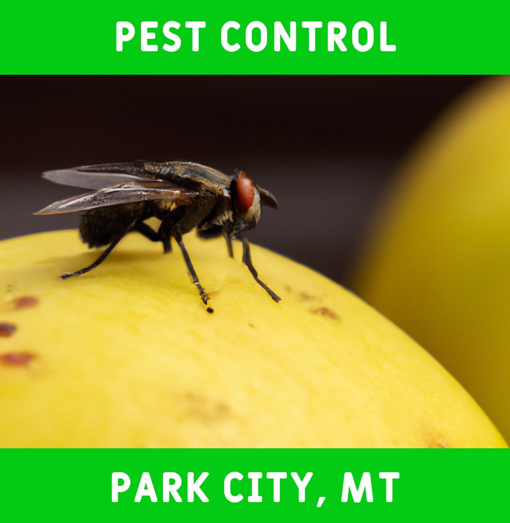 pest control in Park City Montana