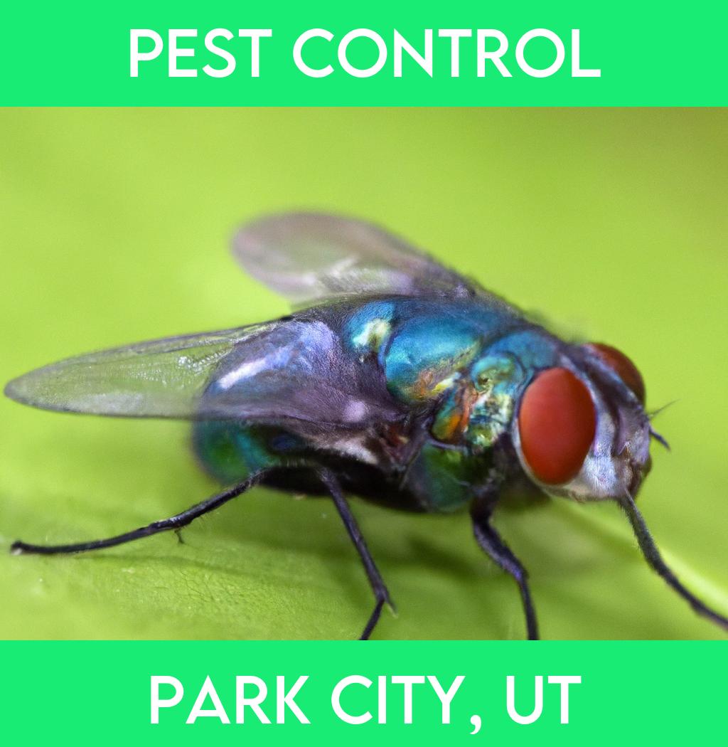 pest control in Park City Utah
