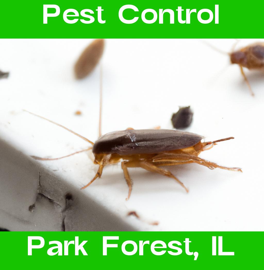 pest control in Park Forest Illinois