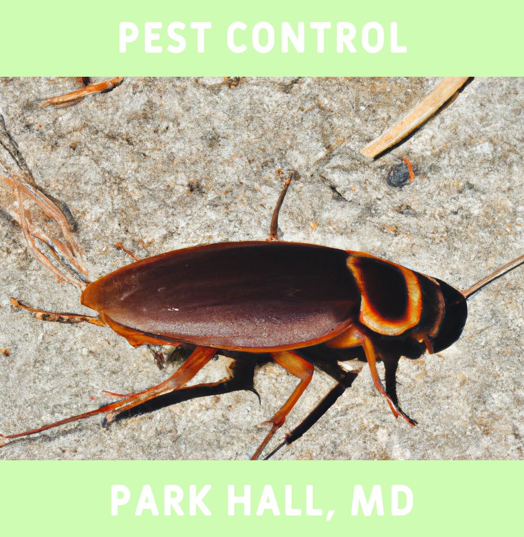 pest control in Park Hall Maryland