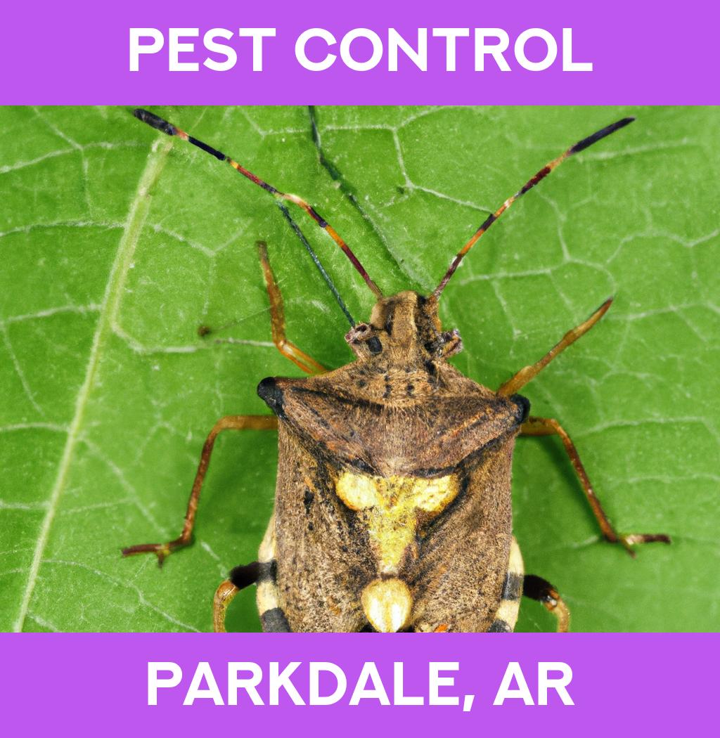 pest control in Parkdale Arkansas