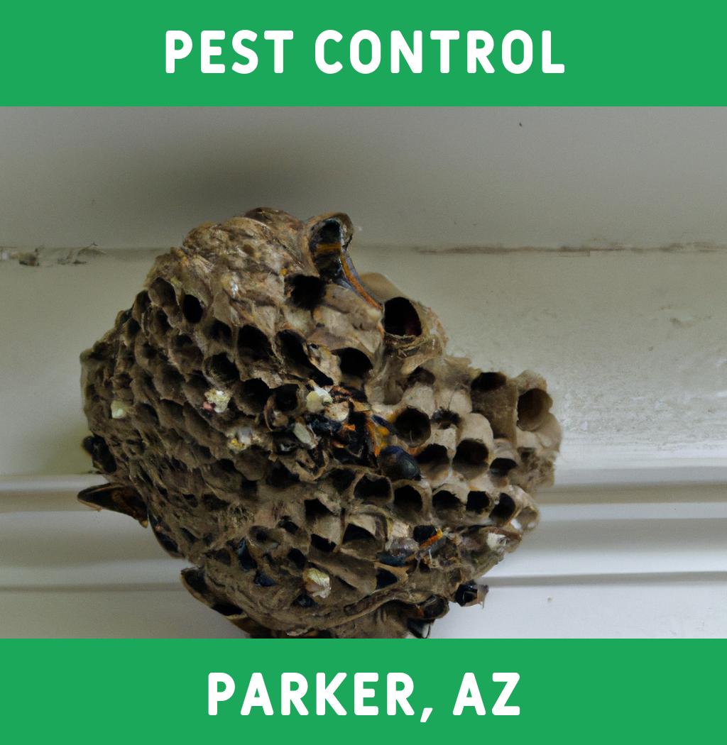 pest control in Parker Arizona