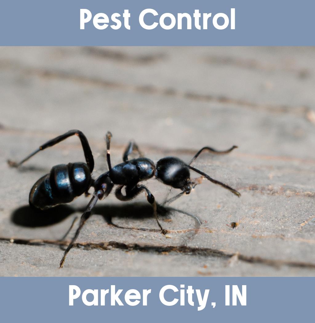 pest control in Parker City Indiana