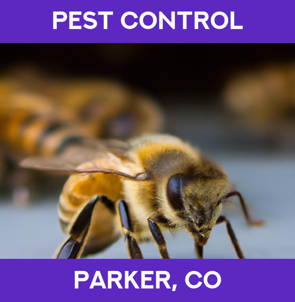 pest control in Parker Colorado