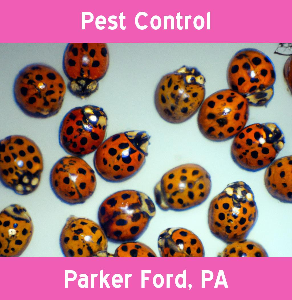 pest control in Parker Ford Pennsylvania