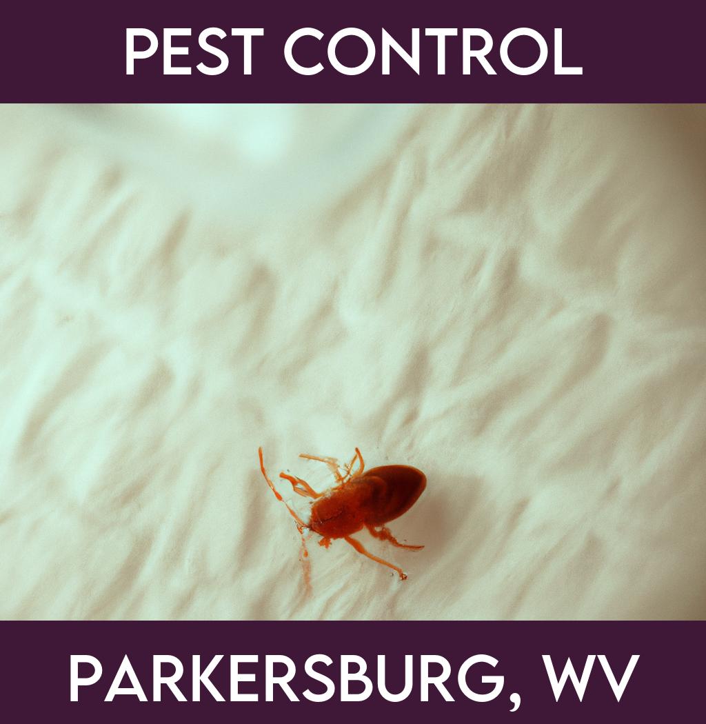 pest control in Parkersburg West Virginia