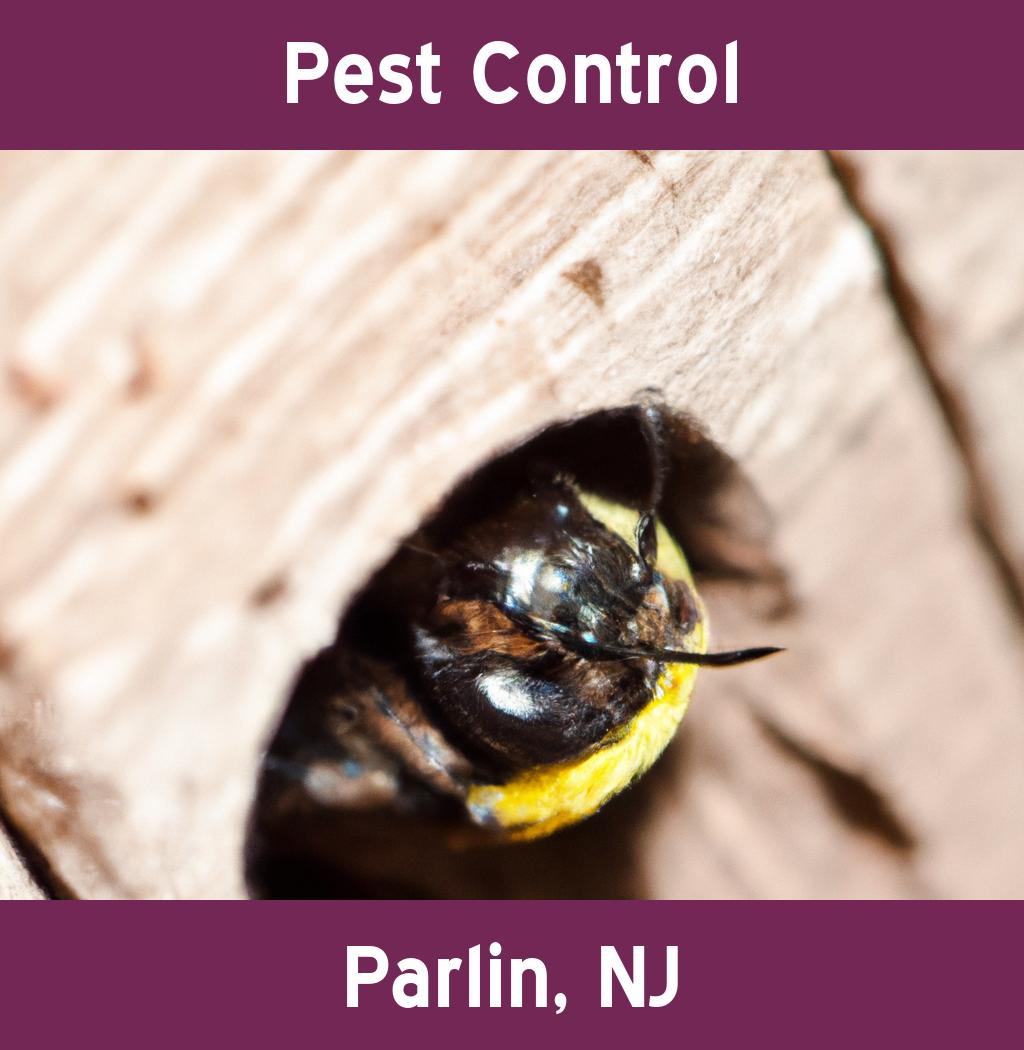 pest control in Parlin New Jersey