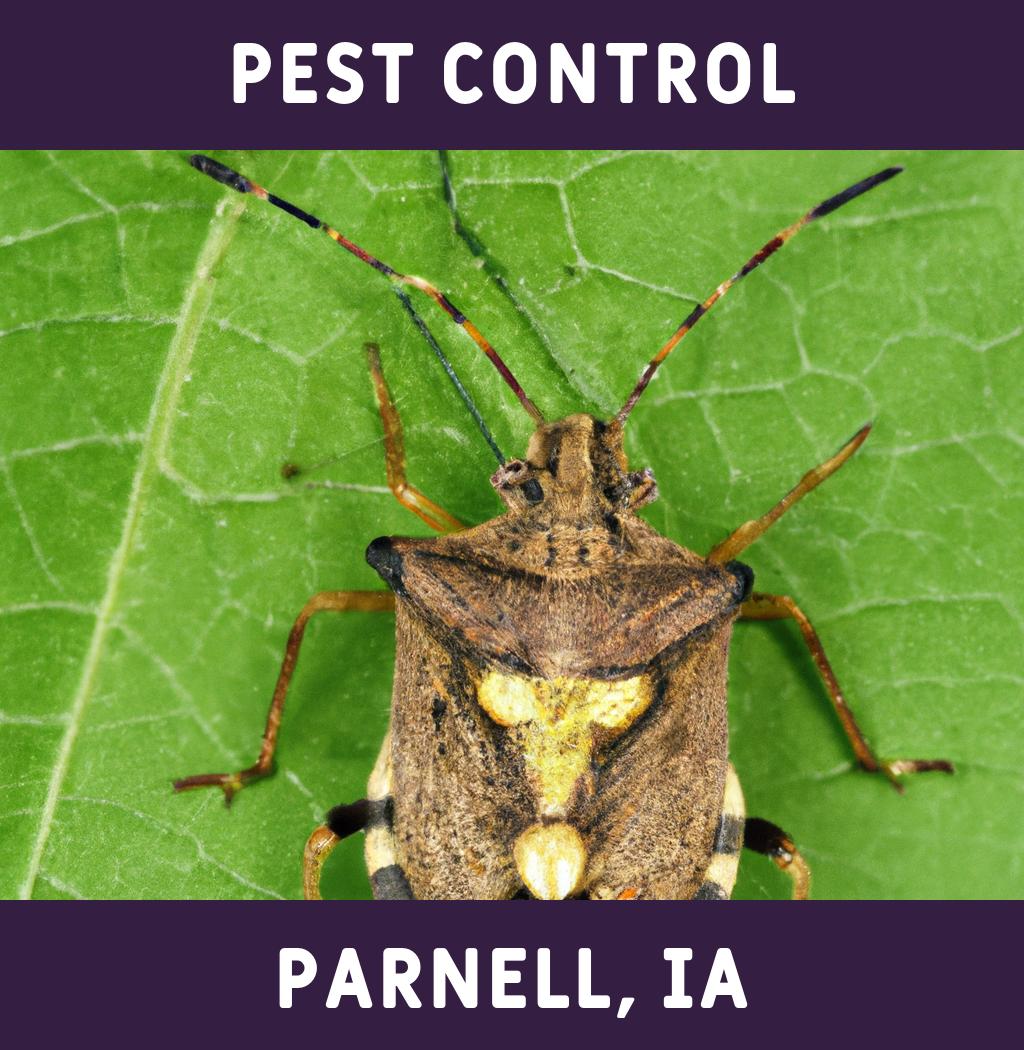pest control in Parnell Iowa