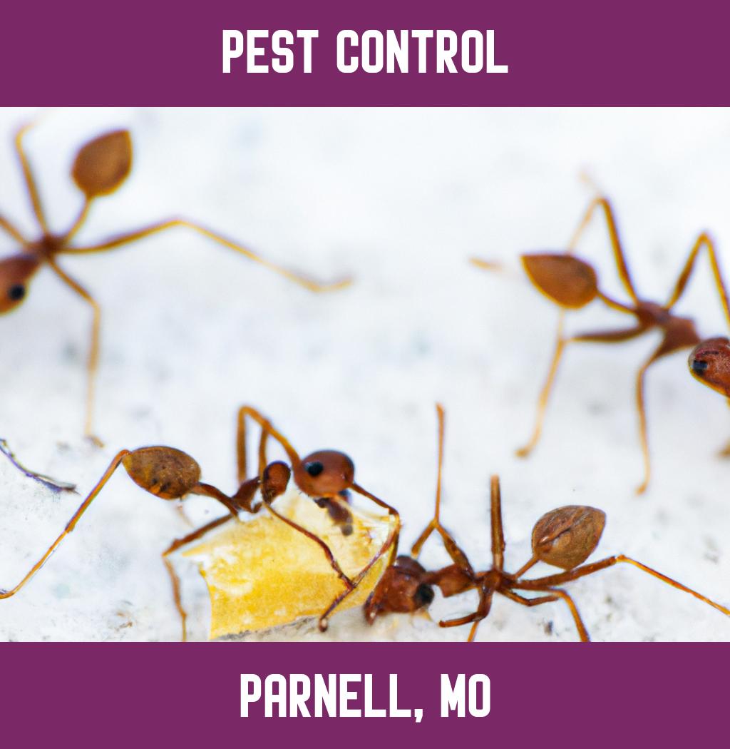 pest control in Parnell Missouri