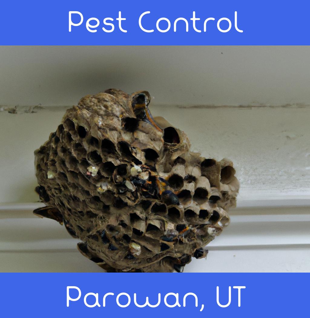 pest control in Parowan Utah