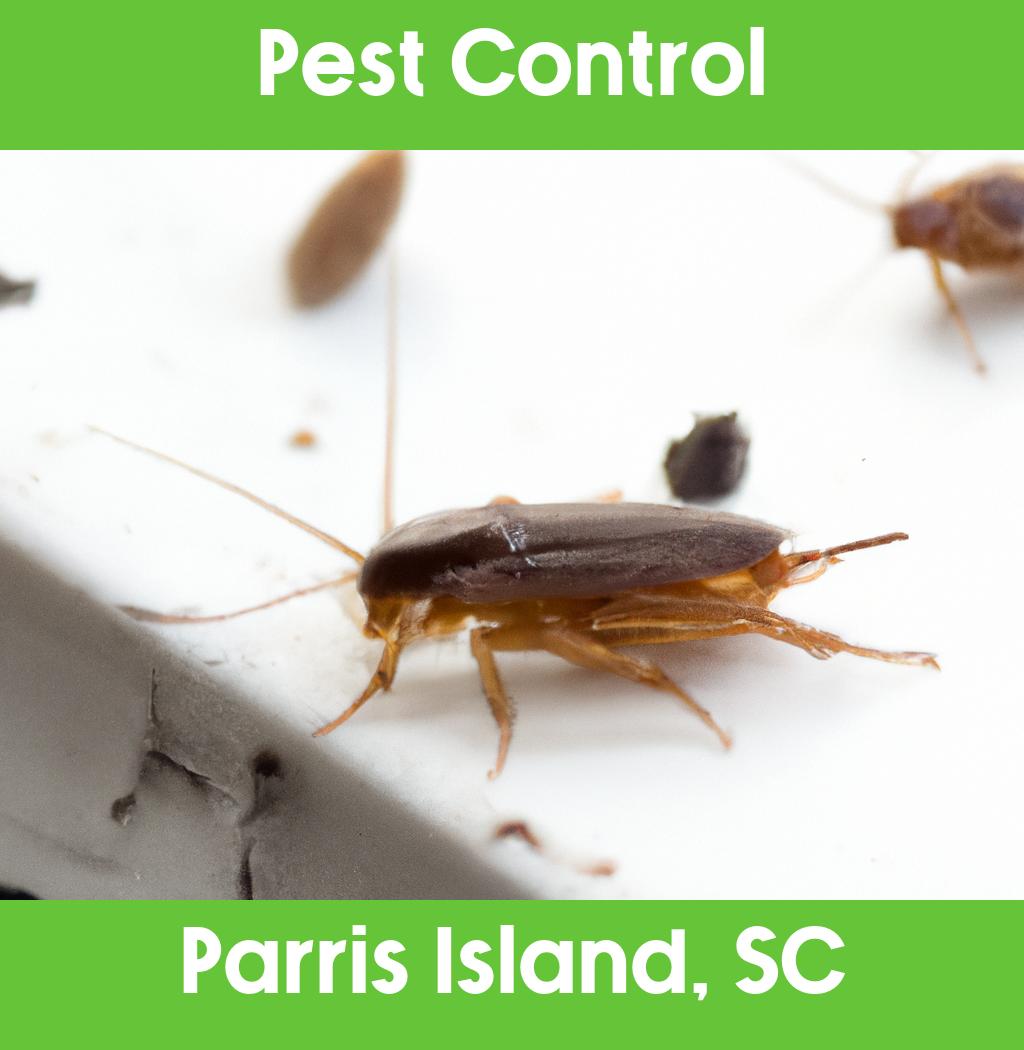 pest control in Parris Island South Carolina