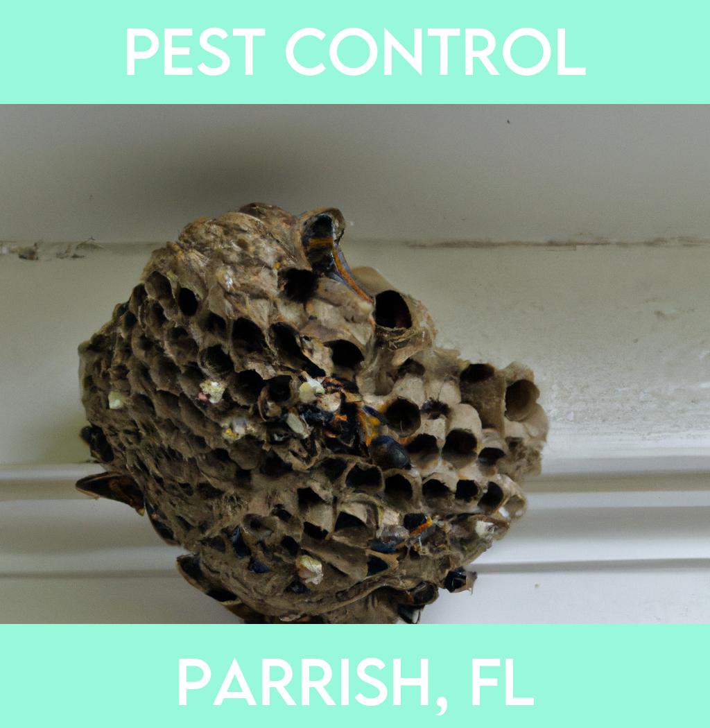 pest control in Parrish Florida