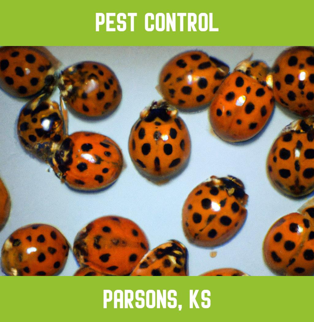 pest control in Parsons Kansas
