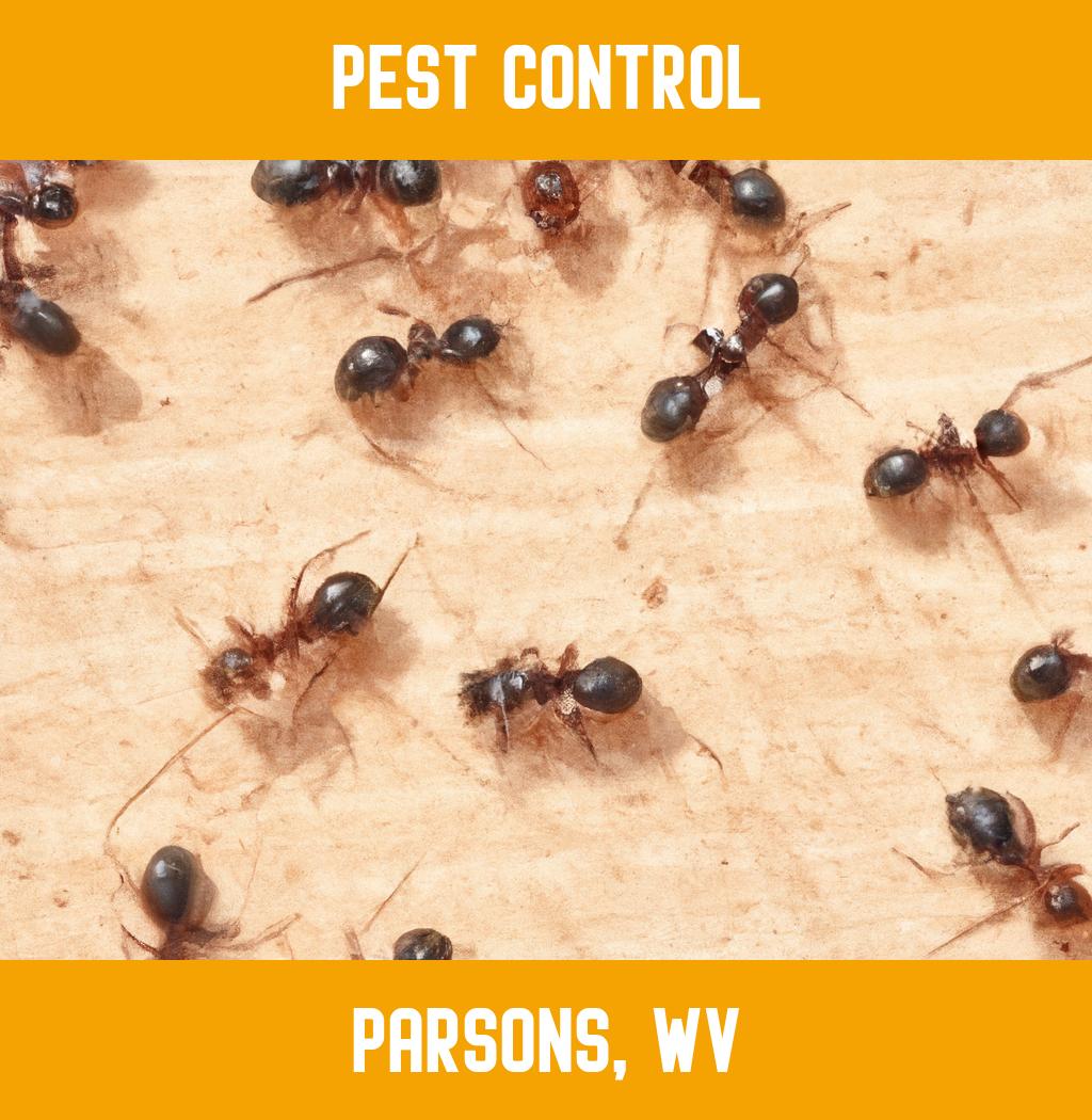 pest control in Parsons West Virginia