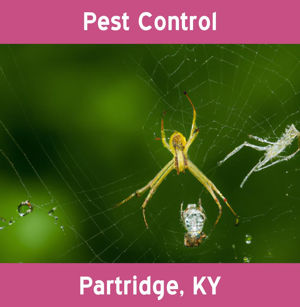 pest control in Partridge Kentucky