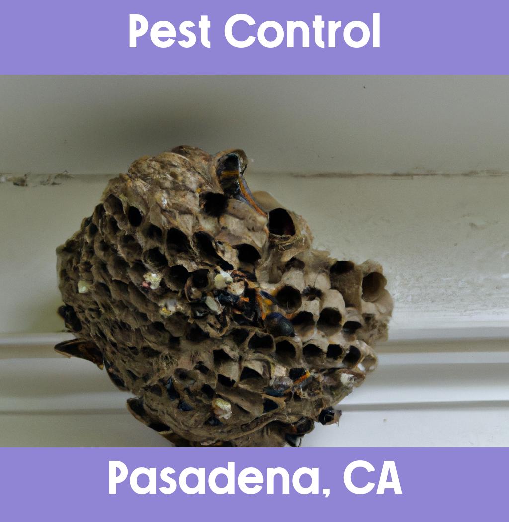 pest control in Pasadena California