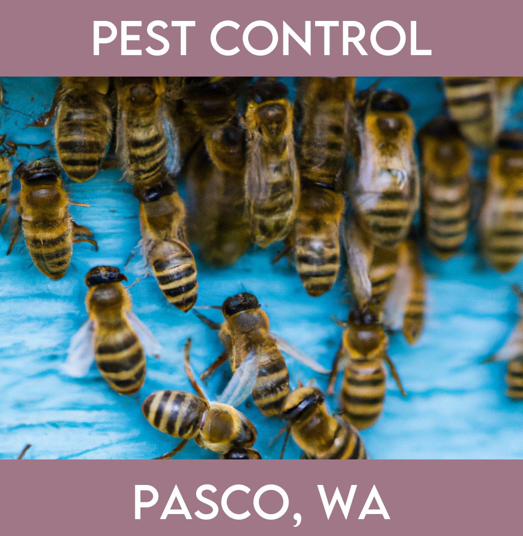 pest control in Pasco Washington