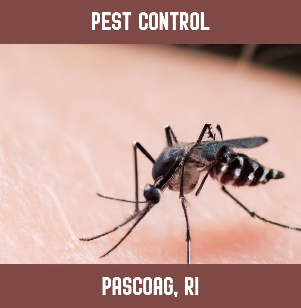 pest control in Pascoag Rhode Island