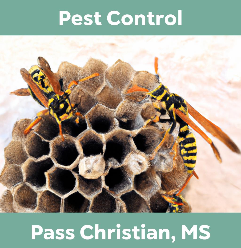pest control in Pass Christian Mississippi