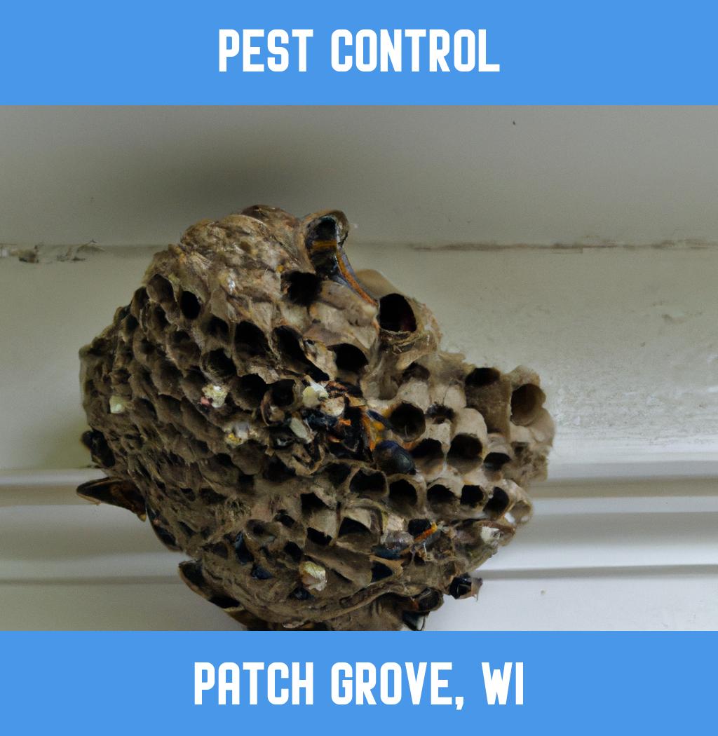 pest control in Patch Grove Wisconsin