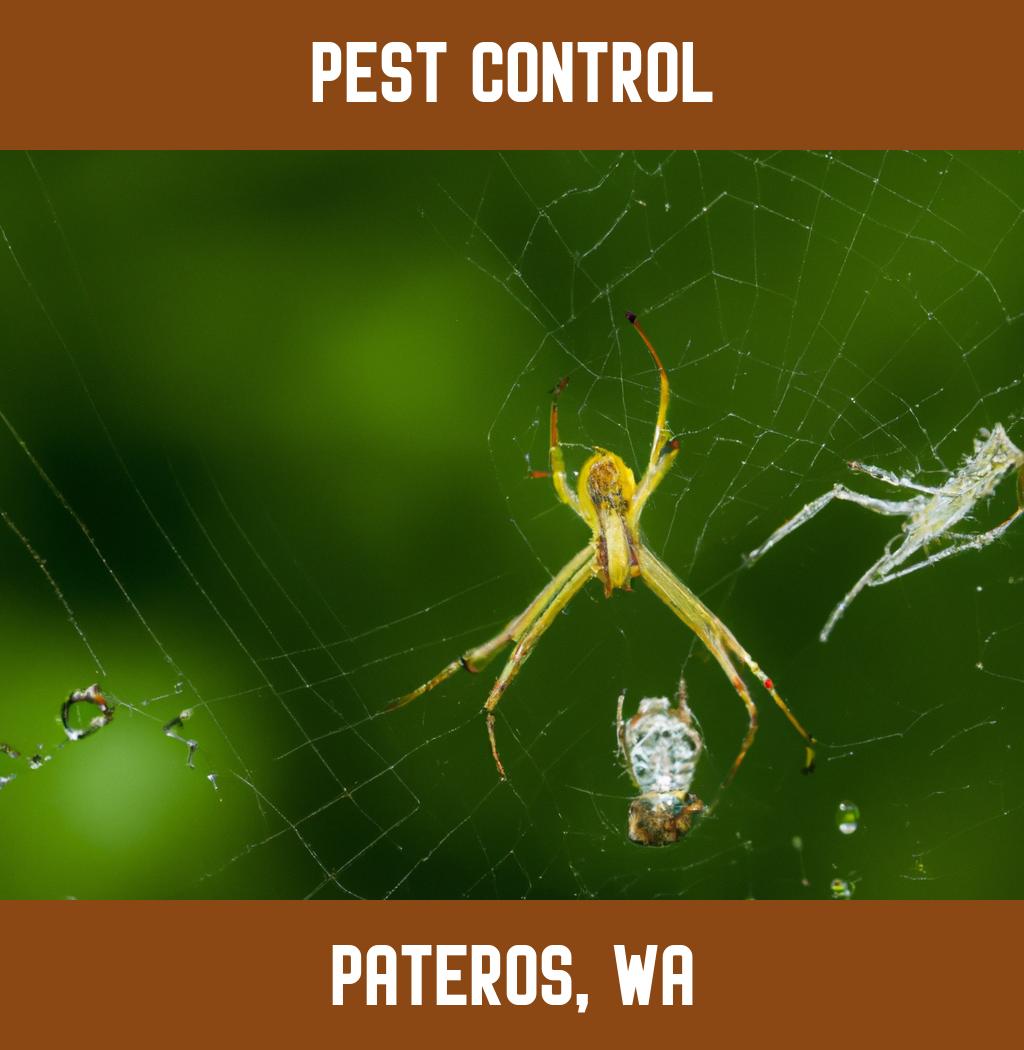 pest control in Pateros Washington