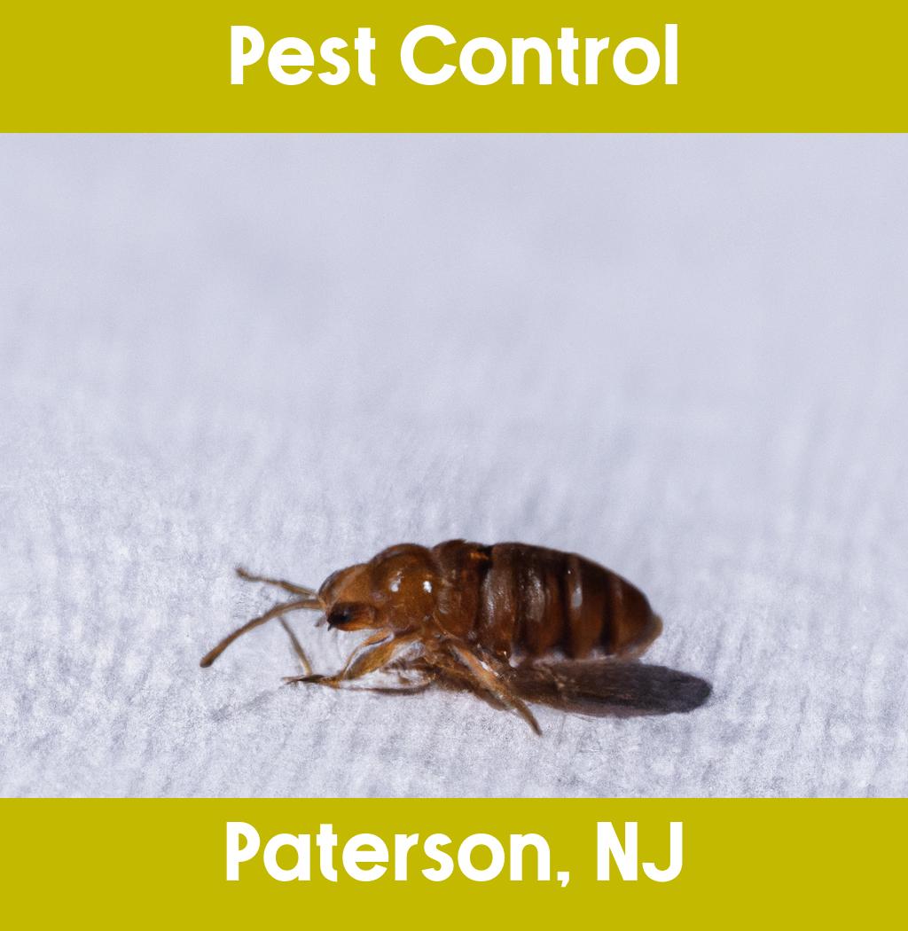 pest control in Paterson New Jersey