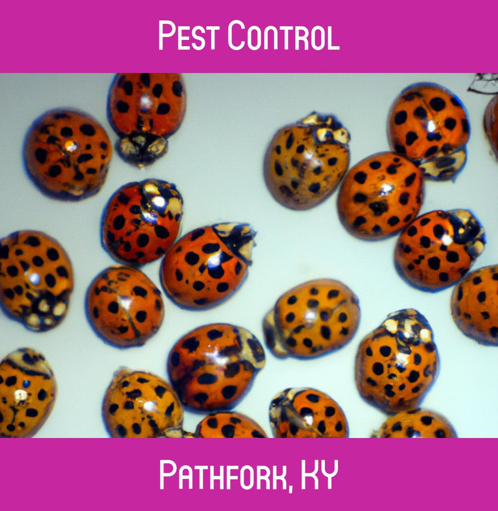 pest control in Pathfork Kentucky