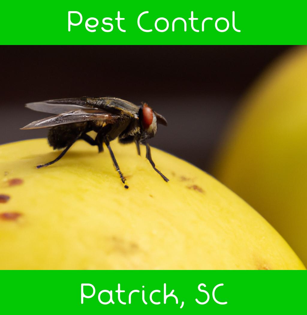 pest control in Patrick South Carolina