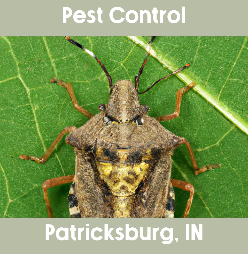 pest control in Patricksburg Indiana