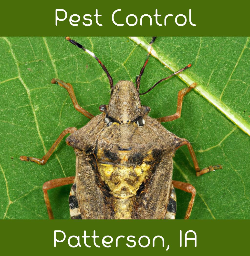 pest control in Patterson Iowa