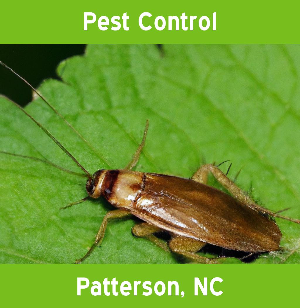 pest control in Patterson North Carolina