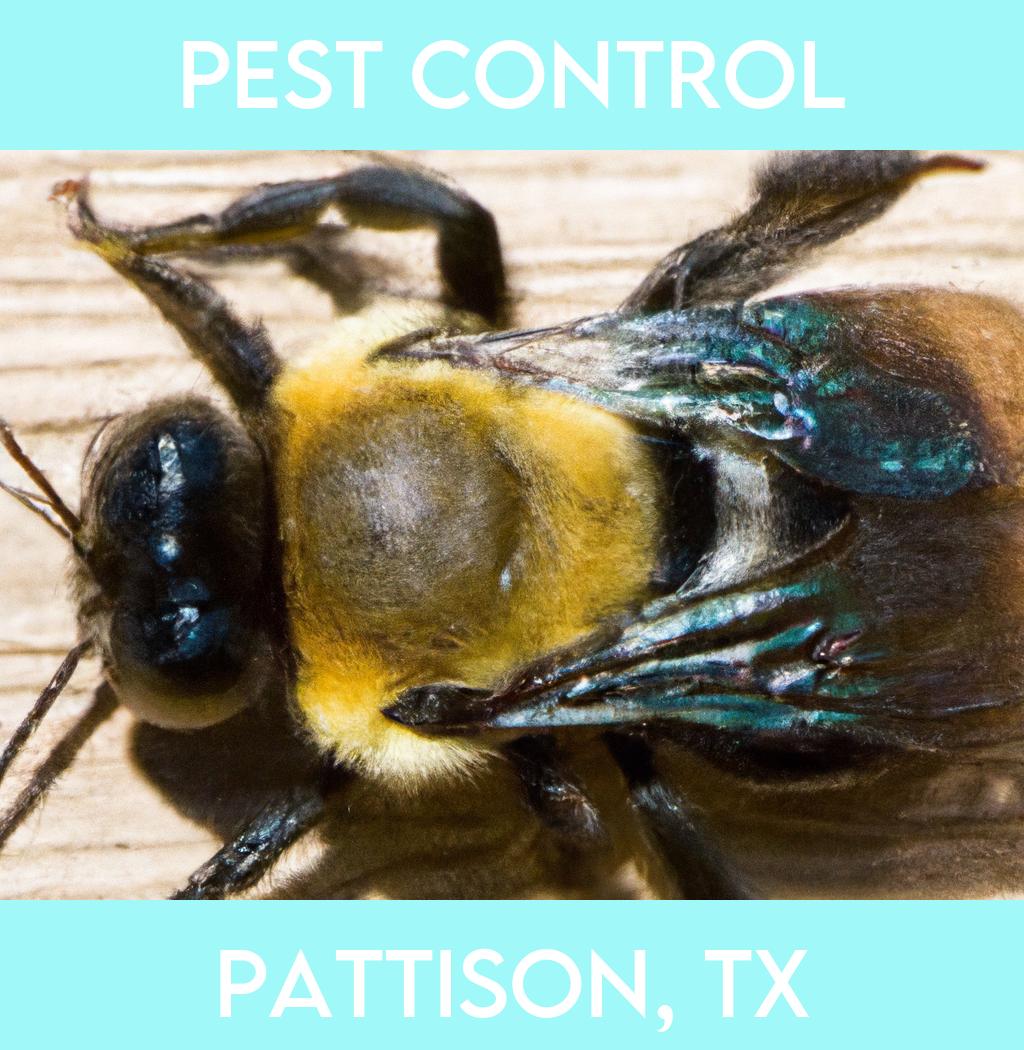 pest control in Pattison Texas
