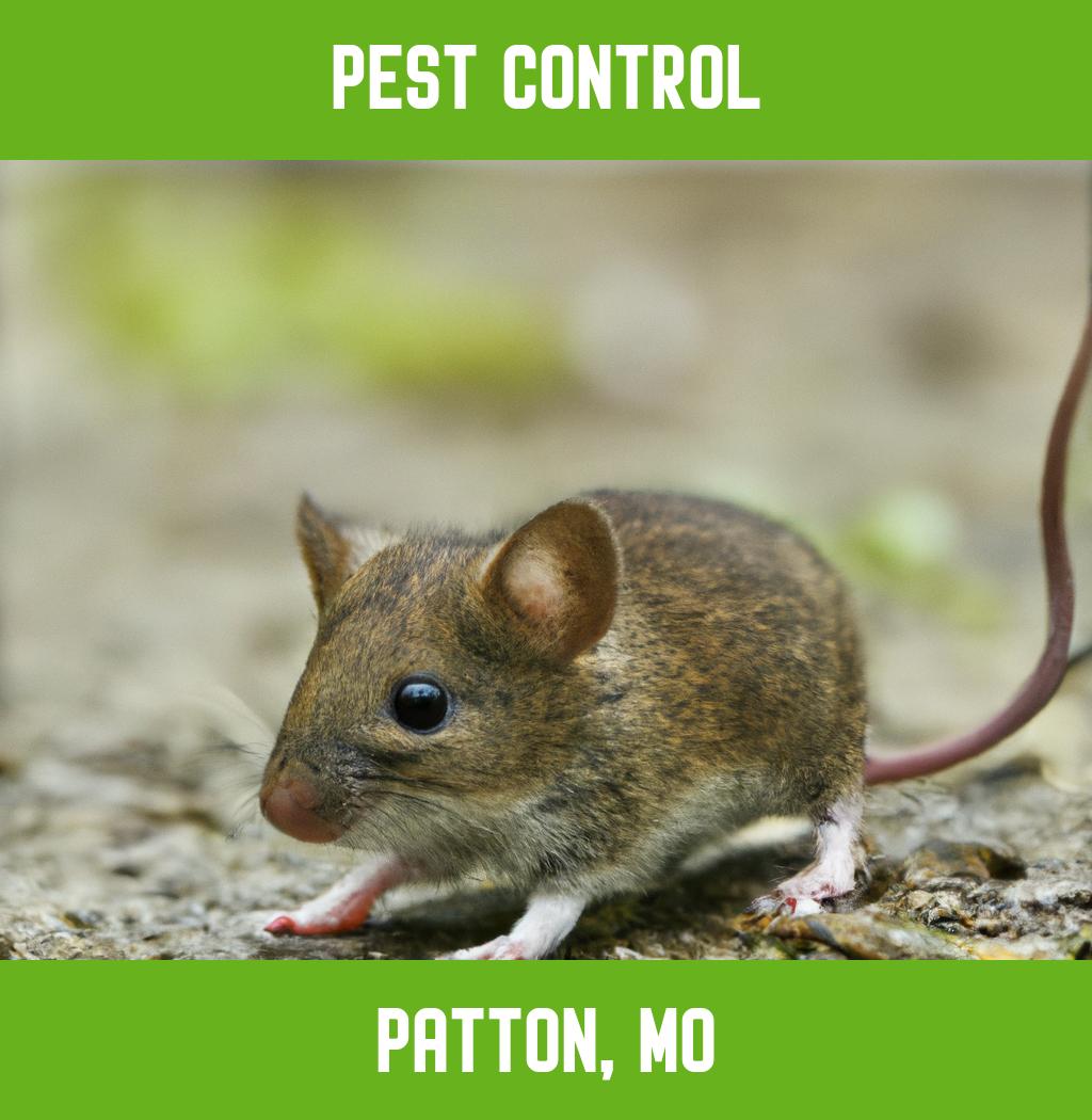 pest control in Patton Missouri