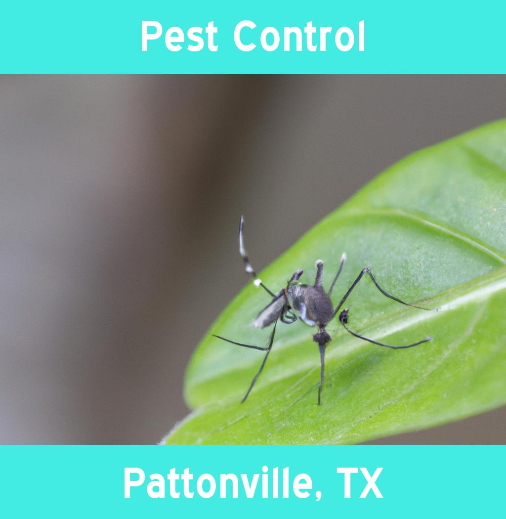 pest control in Pattonville Texas